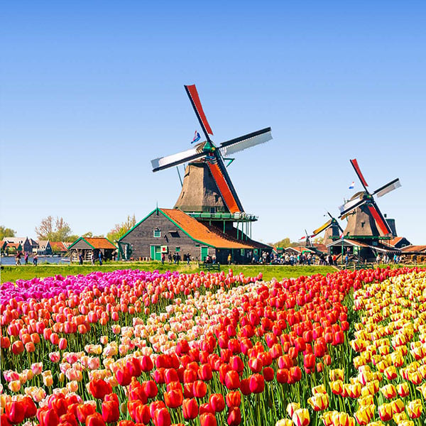 Is eDreams Prime Worth It? A Honest Look at the Subscription That Claims to Save You Hundreds Amsterdam canals - find affordable flights to Amsterdam on eDreams