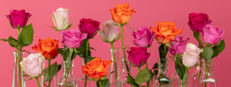 Serenata Flowers beautiful rose bouquet for UK delivery